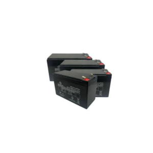 RBC31