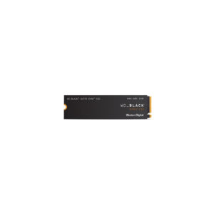 WDS100T2X0E