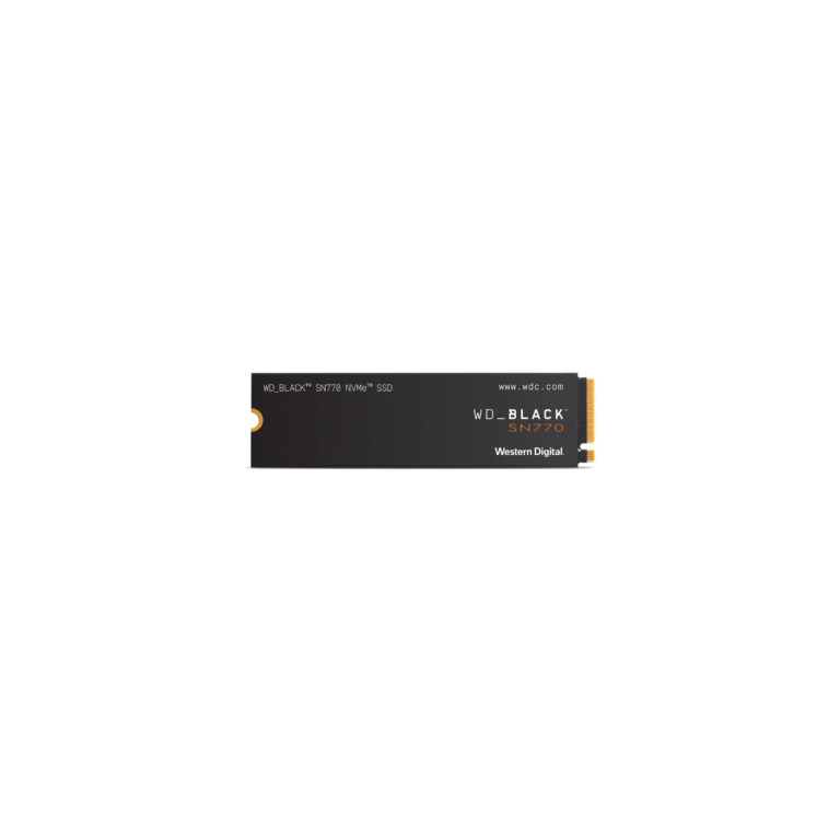 WDS100T2X0E