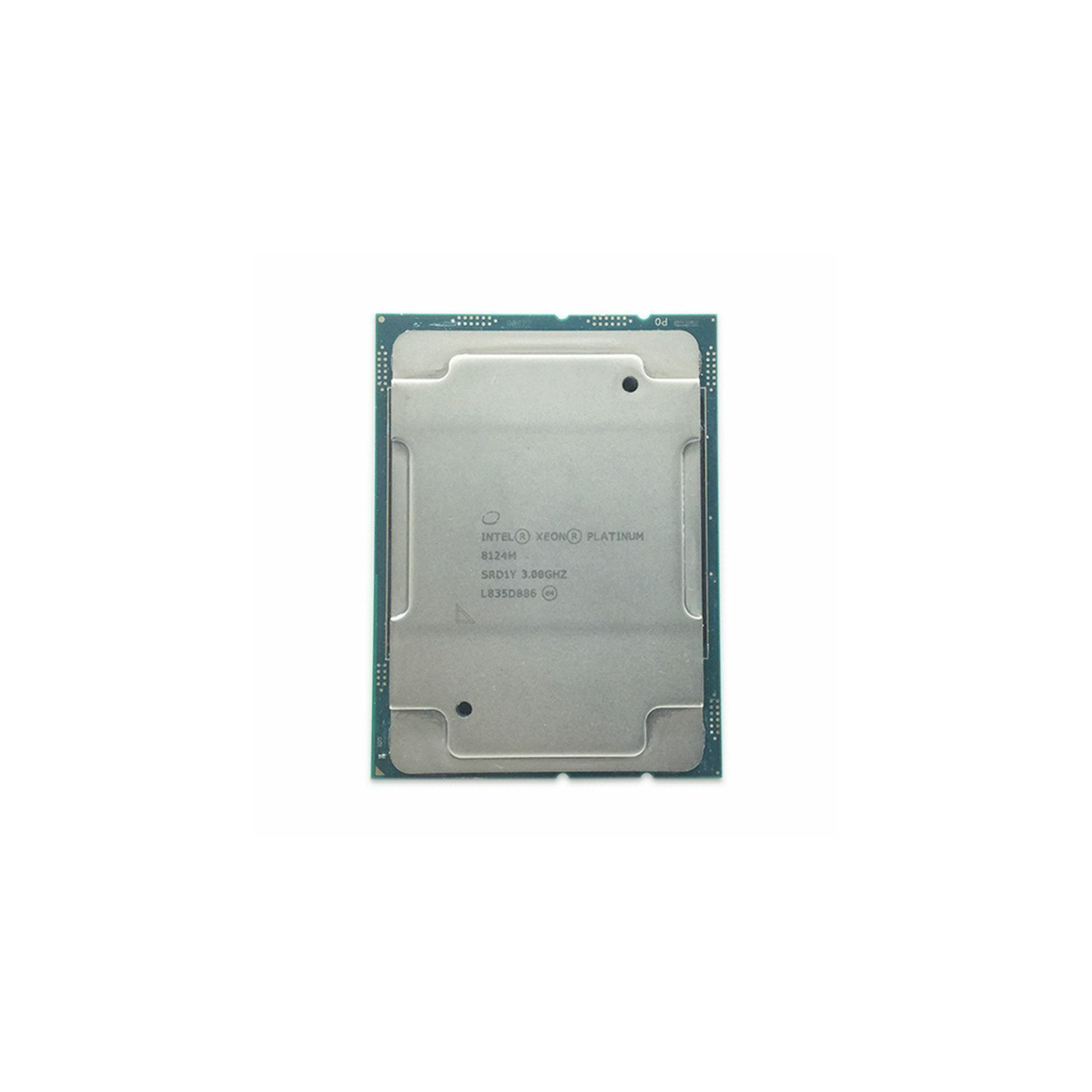 SRD1Y (8124M)