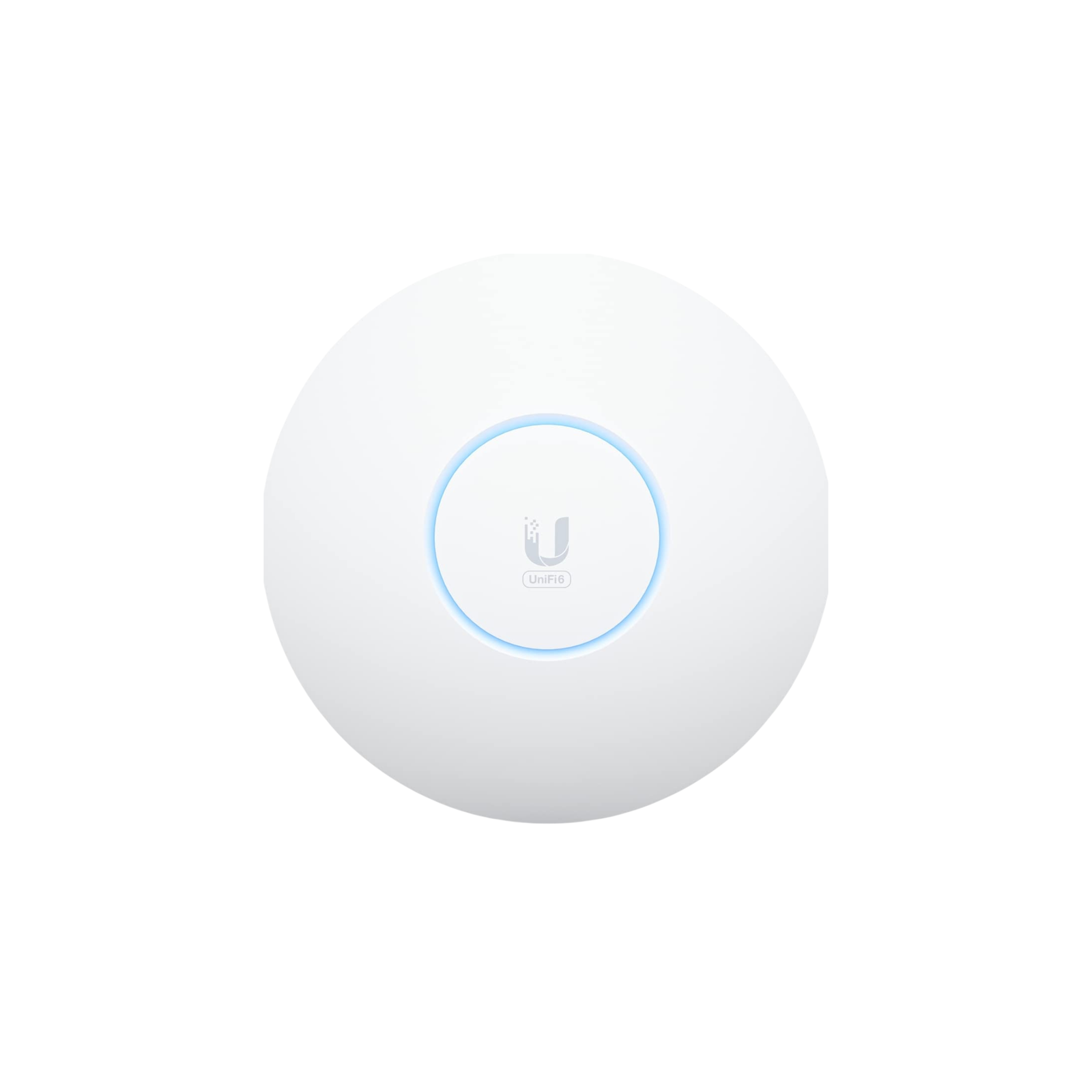 U6 +