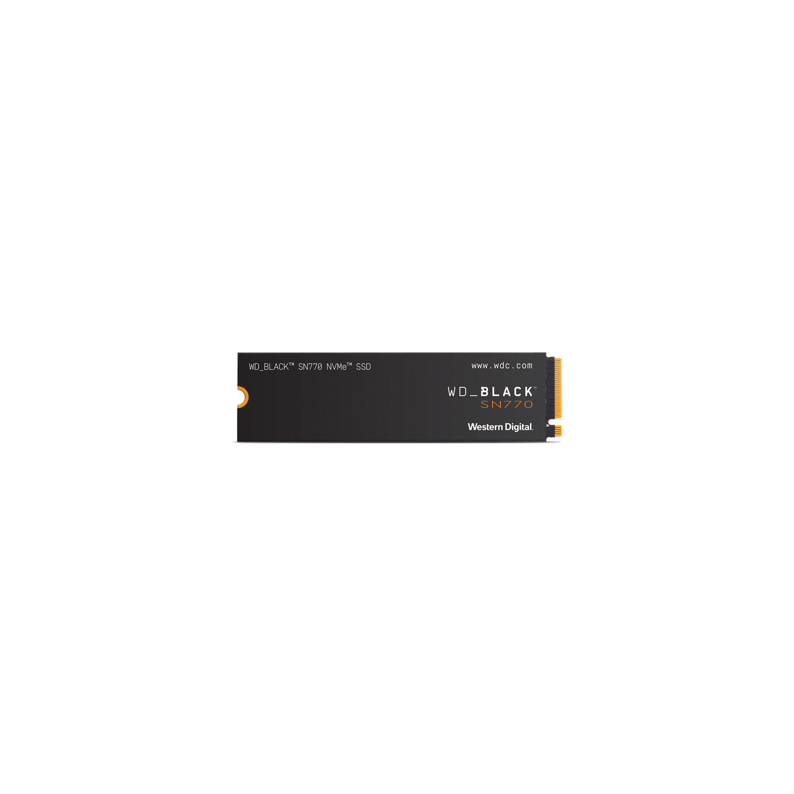 WDS100T2X0E